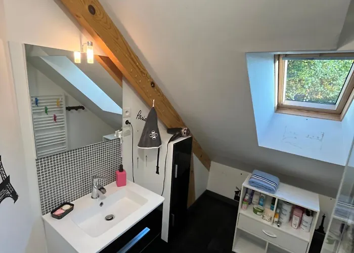 Avec Salle De Douche - Maison Familiale ホームステイ Montfort-le-Gesnois